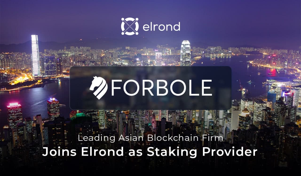Elrond Network Staking Guide